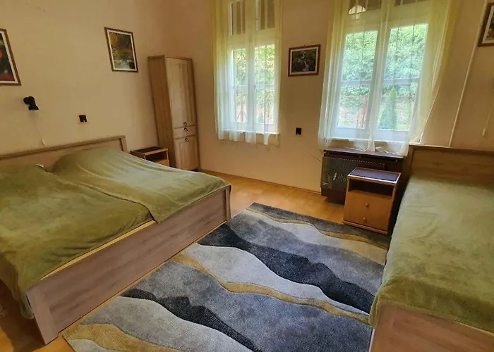 Apartment - Balaton 18521 *